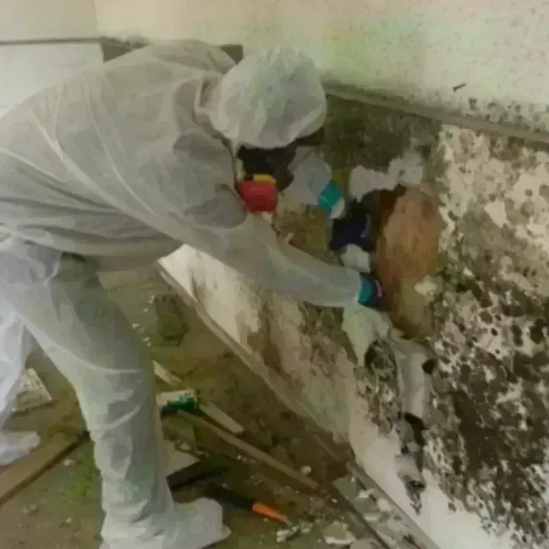 Mold Remediation and Removal in Logan County, OK