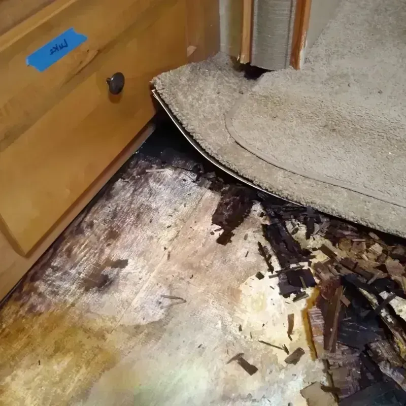 Wood Floor Water Damage in Logan County, OK